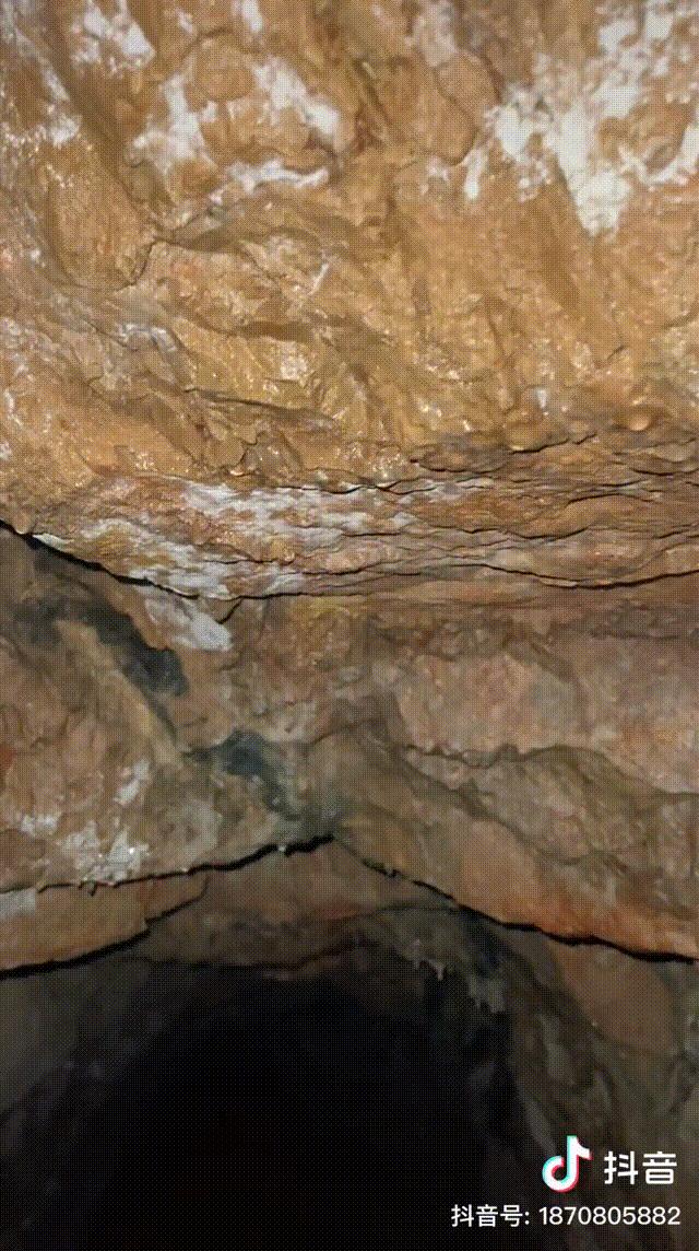DƬ